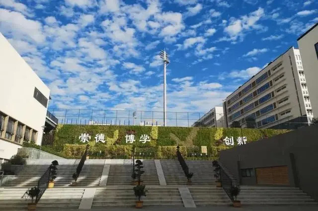 人大附中深圳学校防雷整改项目