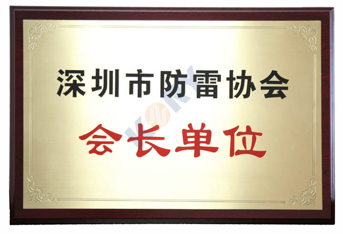 深圳市防雷协会会长单位